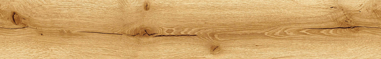 TANIN PROVENCE TRONCO